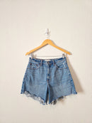 Abercrombie Relaxed Dad Shorts (28/6)