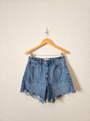 Abercrombie Relaxed Dad Shorts (28/6)