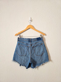 Abercrombie Relaxed Dad Shorts (28/6)