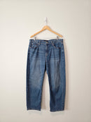 Banana Republic Barrel Jeans (33/16)