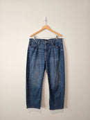Banana Republic Barrel Jeans (33/16)
