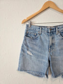 Everlane Relaxed Denim Shorts (26)
