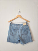 Everlane Relaxed Denim Shorts (26)