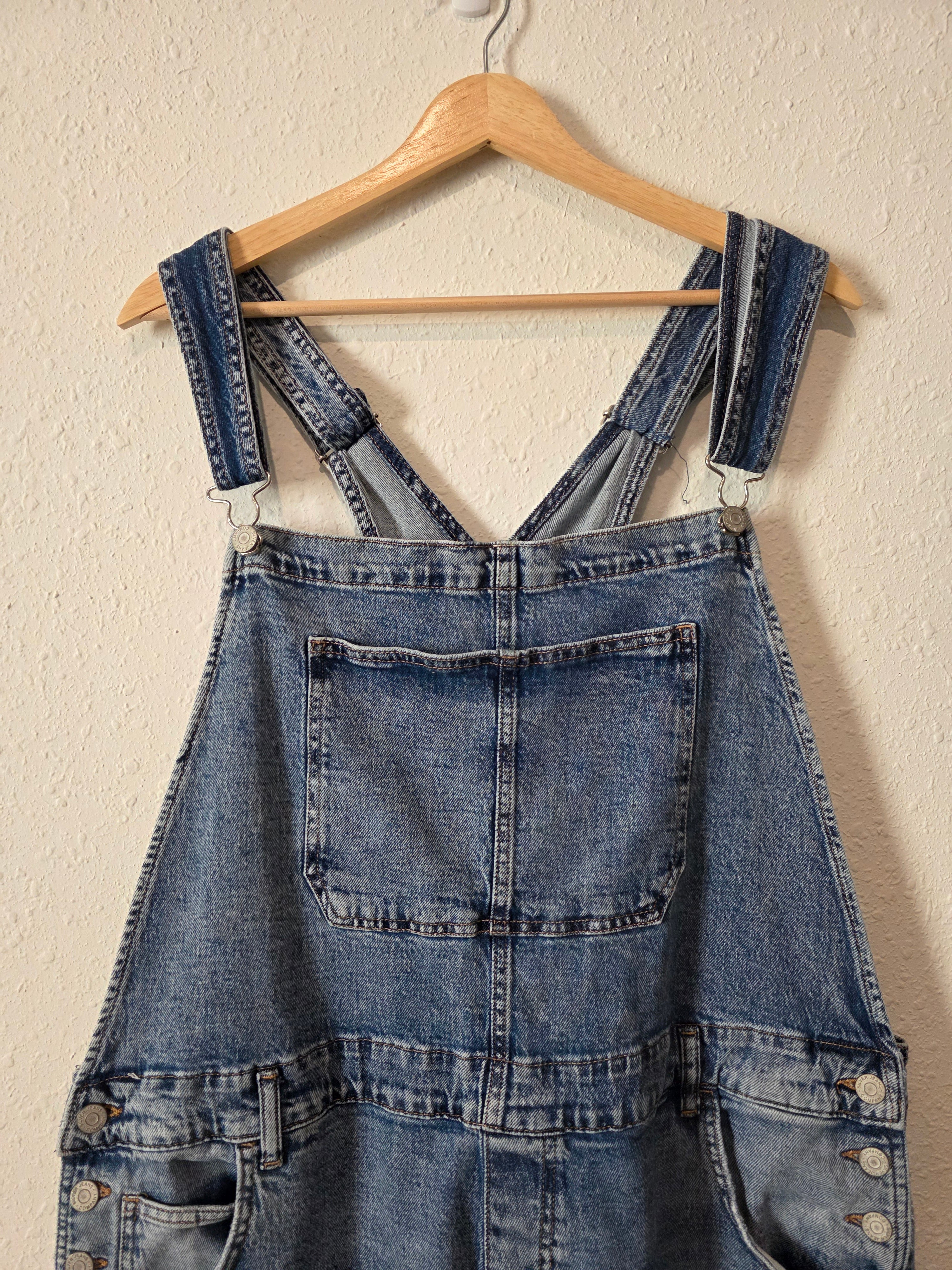 Baggy Denim Overalls (2X)