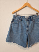 Abercrombie Loose Denim Shorts (29)