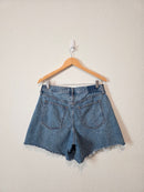 Abercrombie Loose Denim Shorts (29)