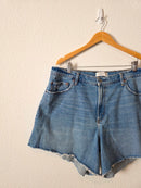 NEW Abercrombie The Dad Shorts (34/18)