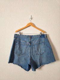 NEW Abercrombie The Dad Shorts (34/18)