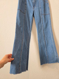 Madewell Loose Flare Jeans (27)
