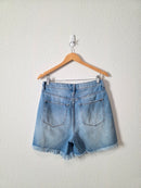 Vervet Relaxed Denim Shorts (M)