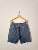 Agolde Relaxed 90s Denim Short (27)