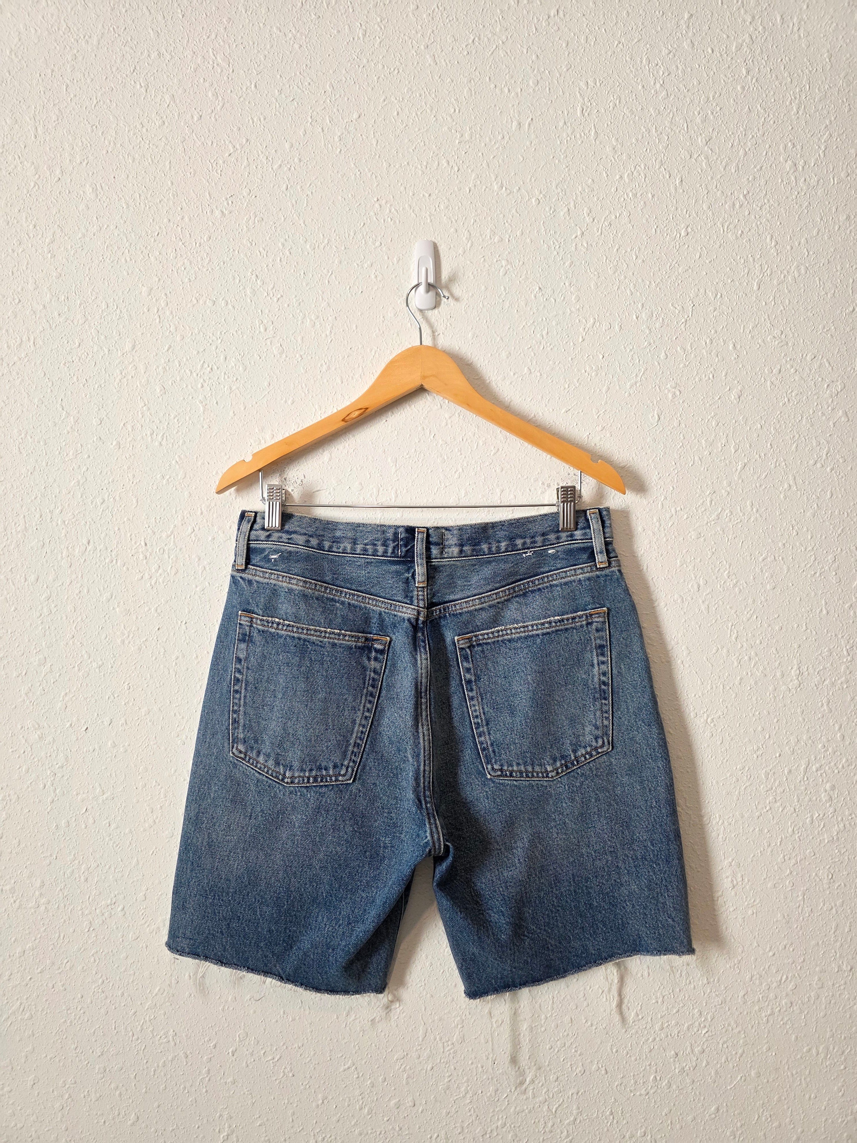 Agolde Relaxed 90s Denim Short (27)