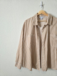 Neutral Striped Boyfriend Button Up (2X)