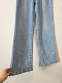 Mica Light Wash Wide Leg Jeans (25)