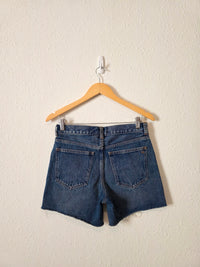 Madewell The Brynn Long Short (24)