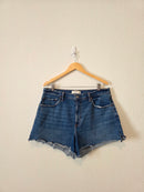 Abercrombie High Rise Denim Shorts (33/16)