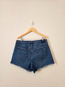 Abercrombie High Rise Denim Shorts (33/16)