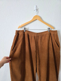 Shiny By Nature Corduroy Pants (4X)