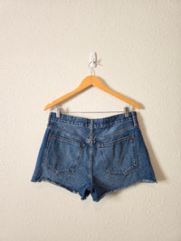 Madewell Relaxed Denim Shorts (28)