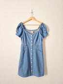 Madewell Denim Mini Dress (4)