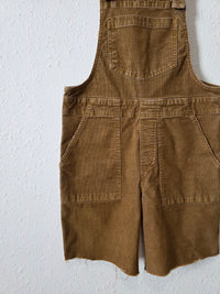 Aerie Brown Corduroy Shortalls (XXS)