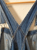 Free People Ziggy Denim Overalls (XS)