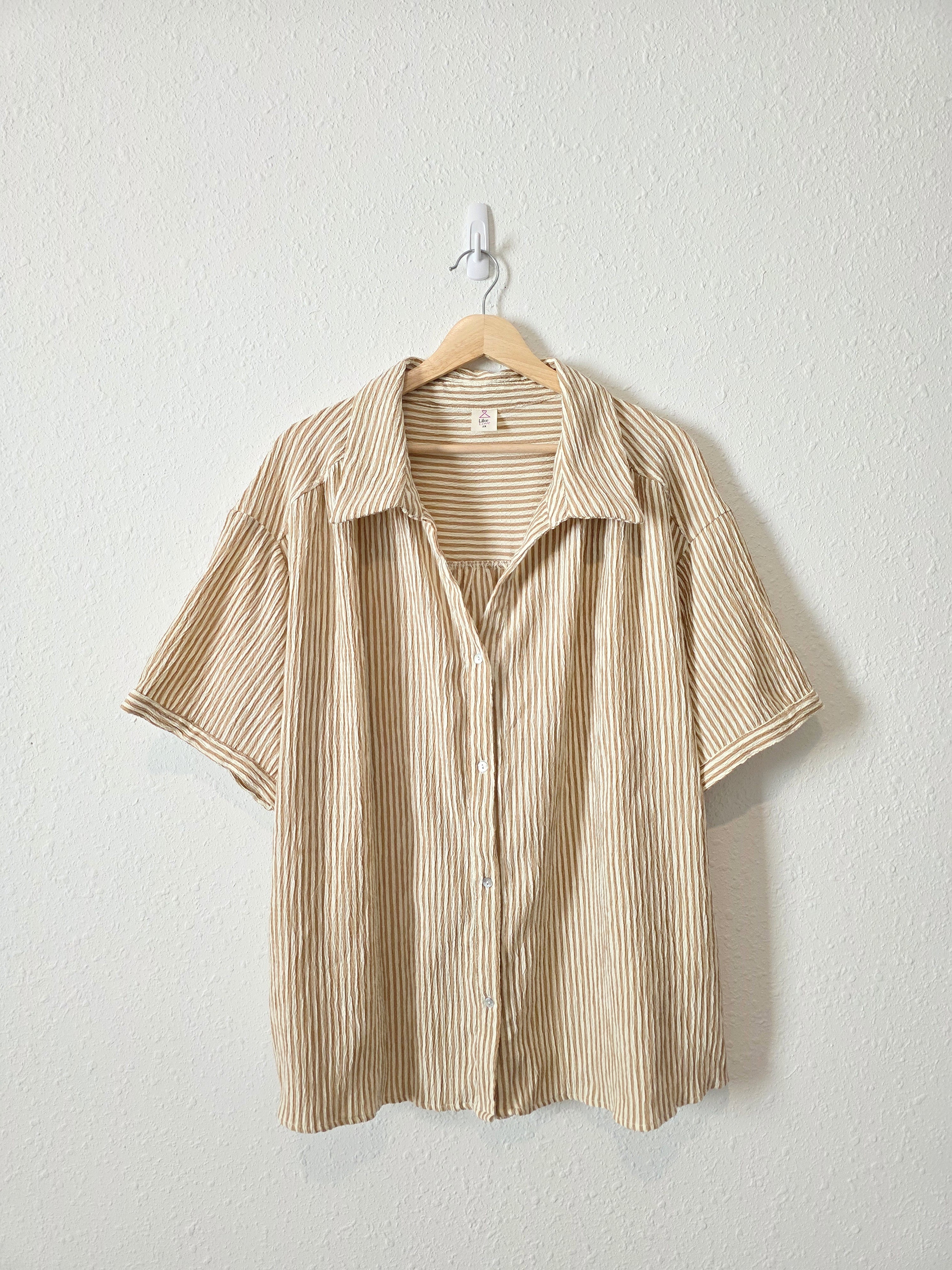 Neutral Striped Button Up Shirt (2X)