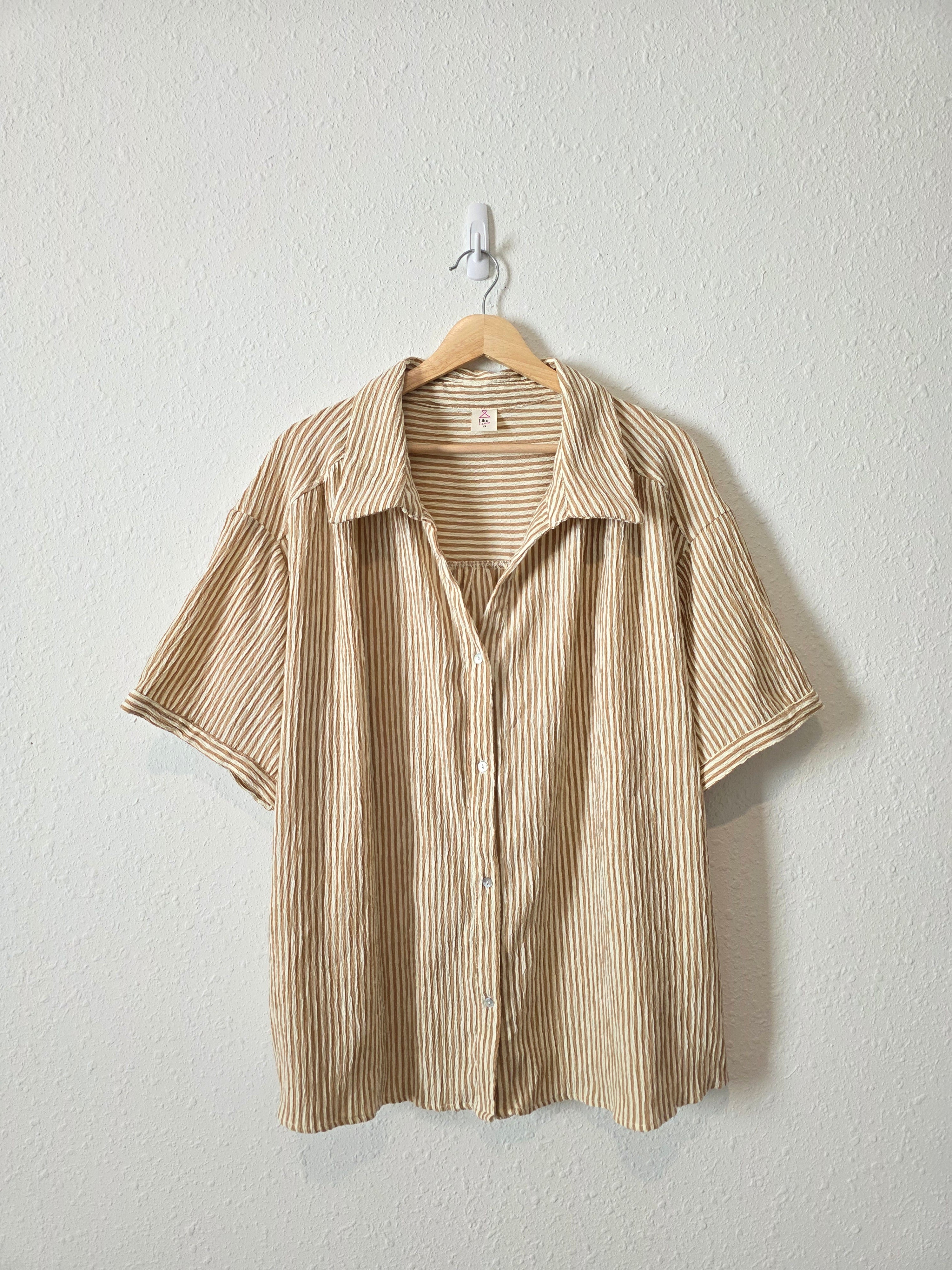 Neutral Striped Button Up Shirt (2X)