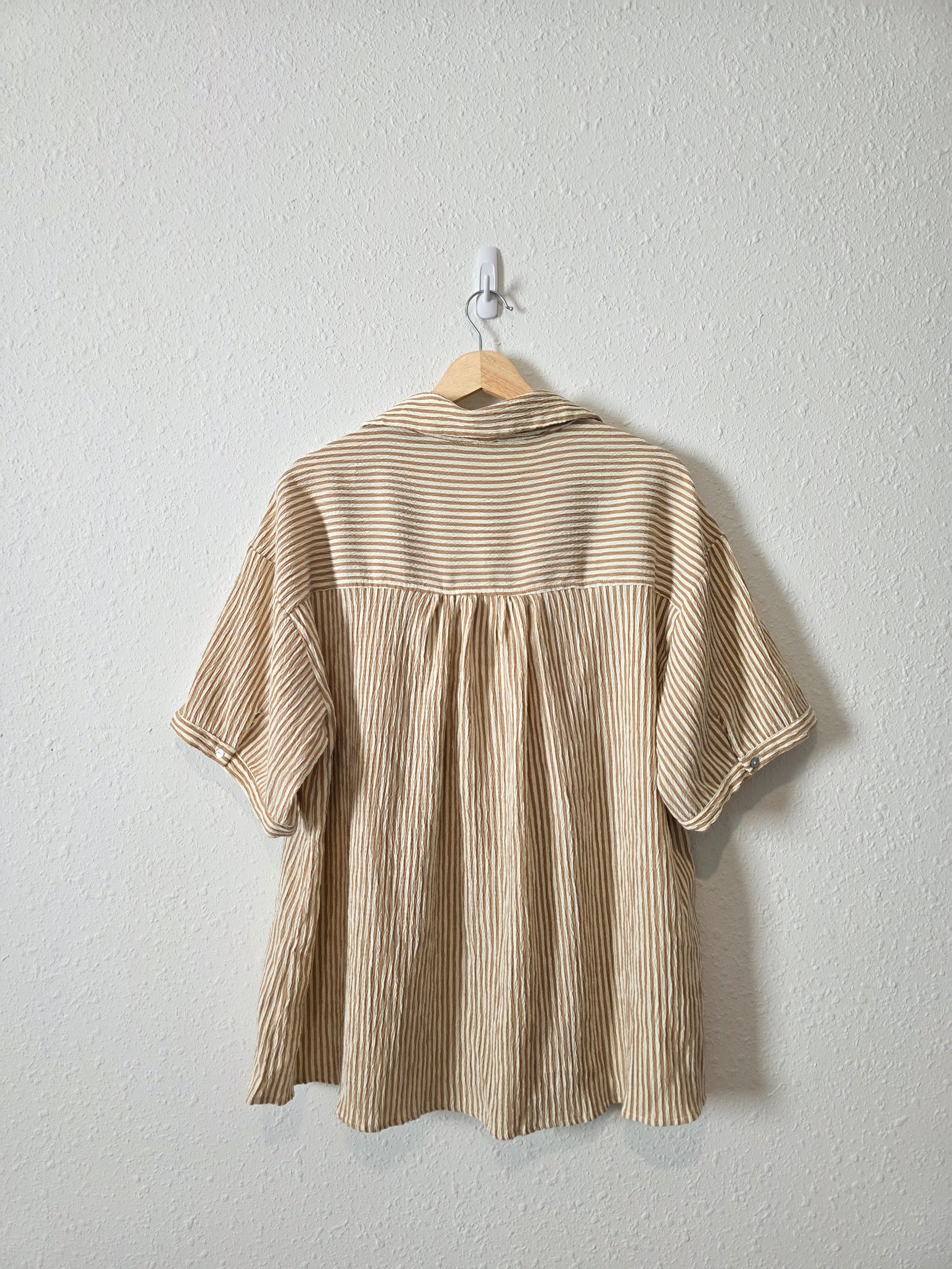 Neutral Striped Button Up Shirt (2X)