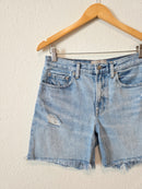 Everlane Relaxed Denim Shorts (26)