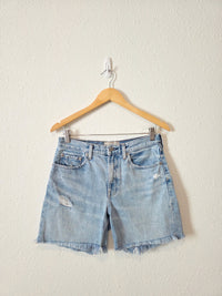 Everlane Relaxed Denim Shorts (26)