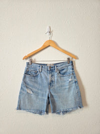 Everlane Relaxed Denim Shorts (26)
