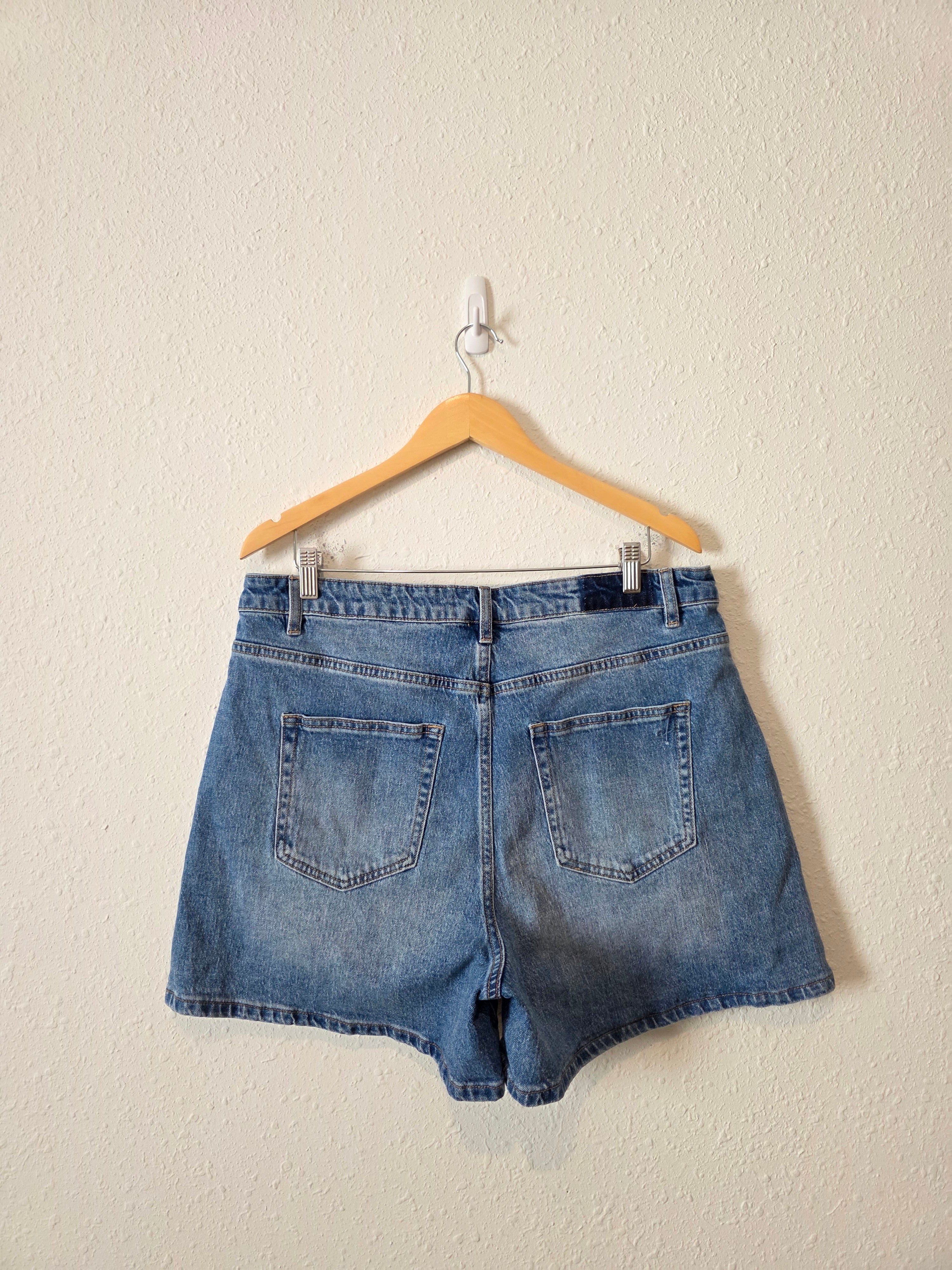 Ava Lane Denim Shorts (1X)