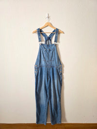 Gap Slouchy Denim Overalls (L)
