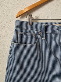 Madewell Pinstripe Wide Leg Jeans (31)