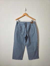 Madewell Pinstripe Wide Leg Jeans (31)
