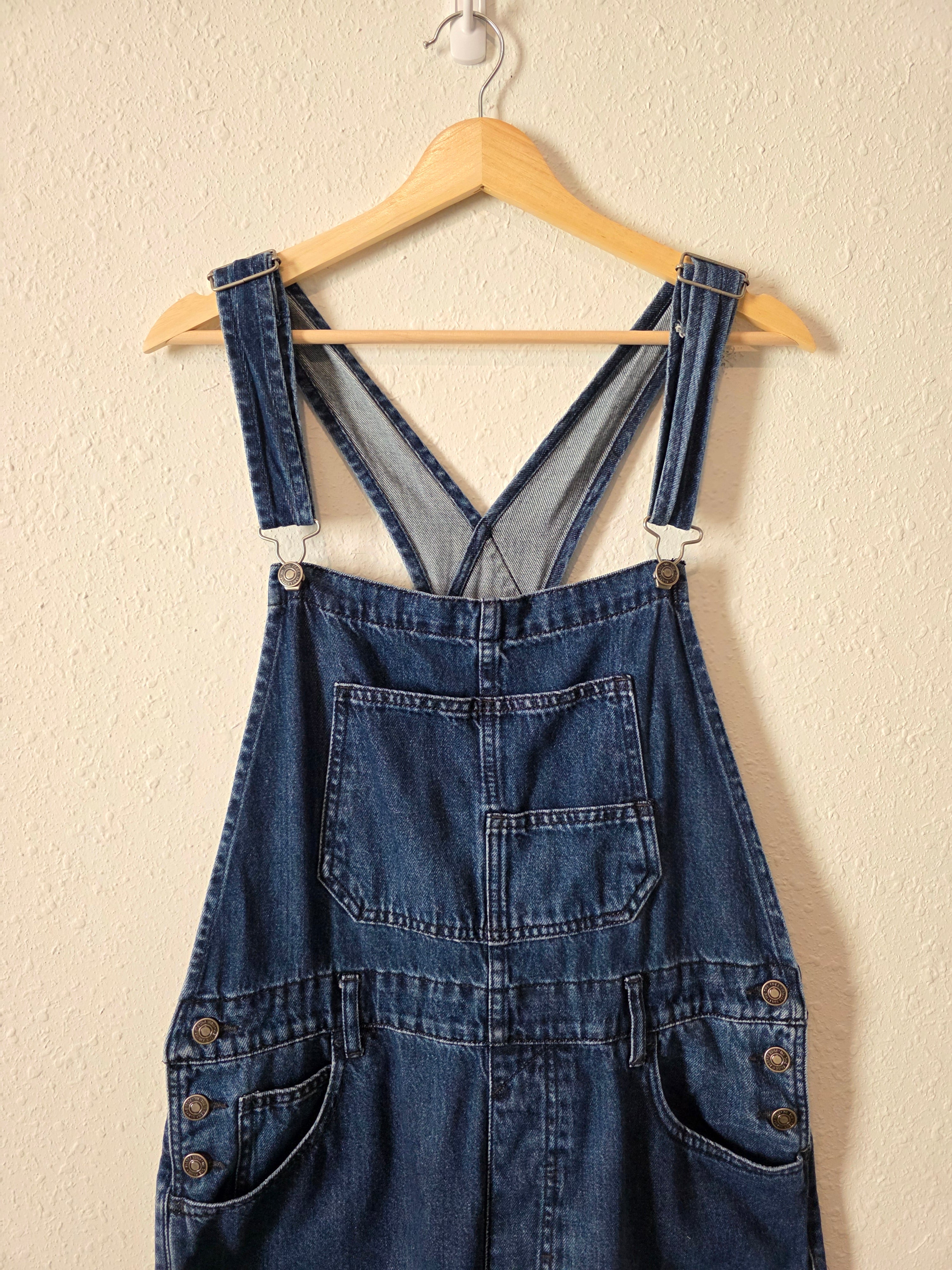 Free People Ziggy Denim Overalls (L)