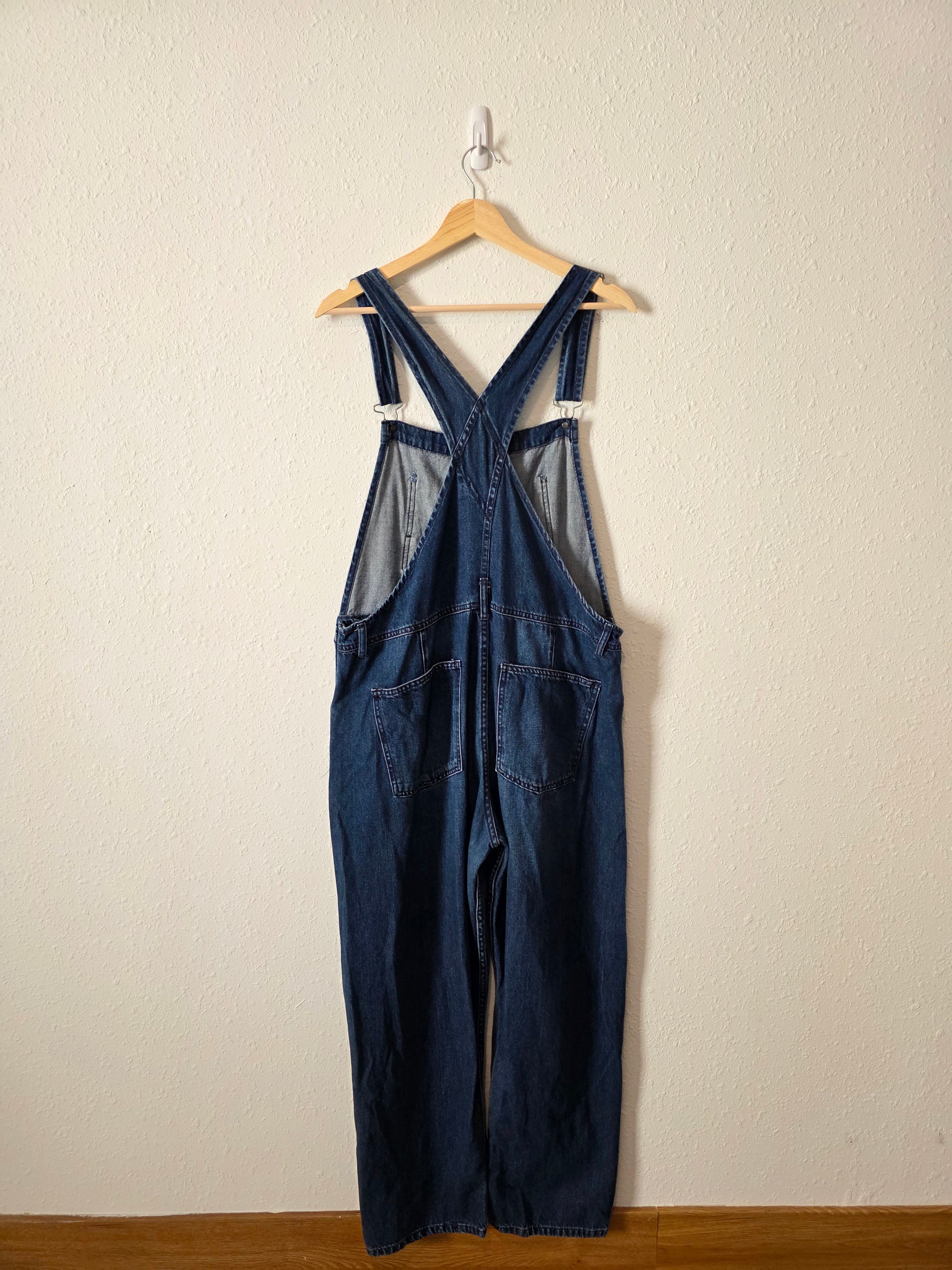 Free People Ziggy Denim Overalls (L)
