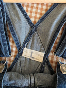 Free People Ziggy Denim Overalls (L)