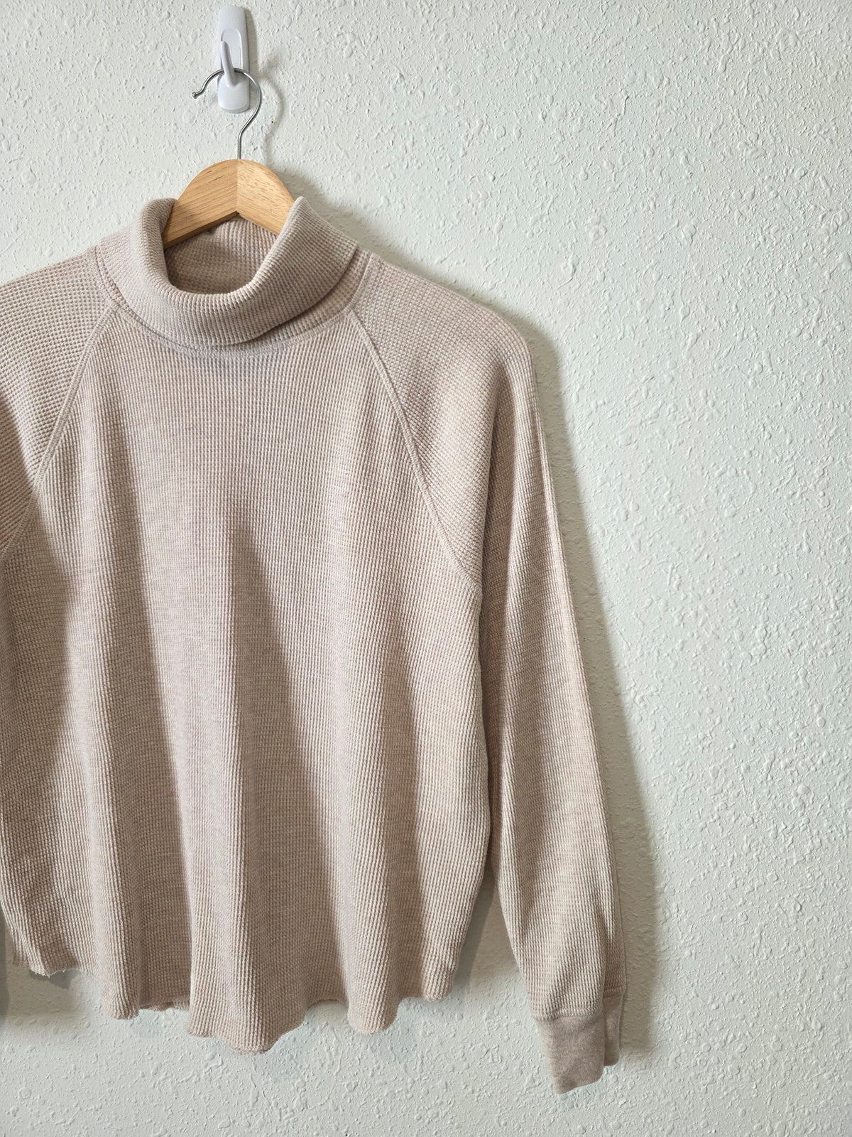 Everlane Organic Cotton Turtleneck Top (S)