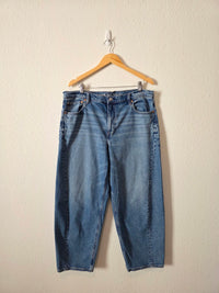 AE Relaxed Barrel Jeans (16)