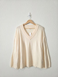 NEW Gap Cozy V Neck Sweater (L)