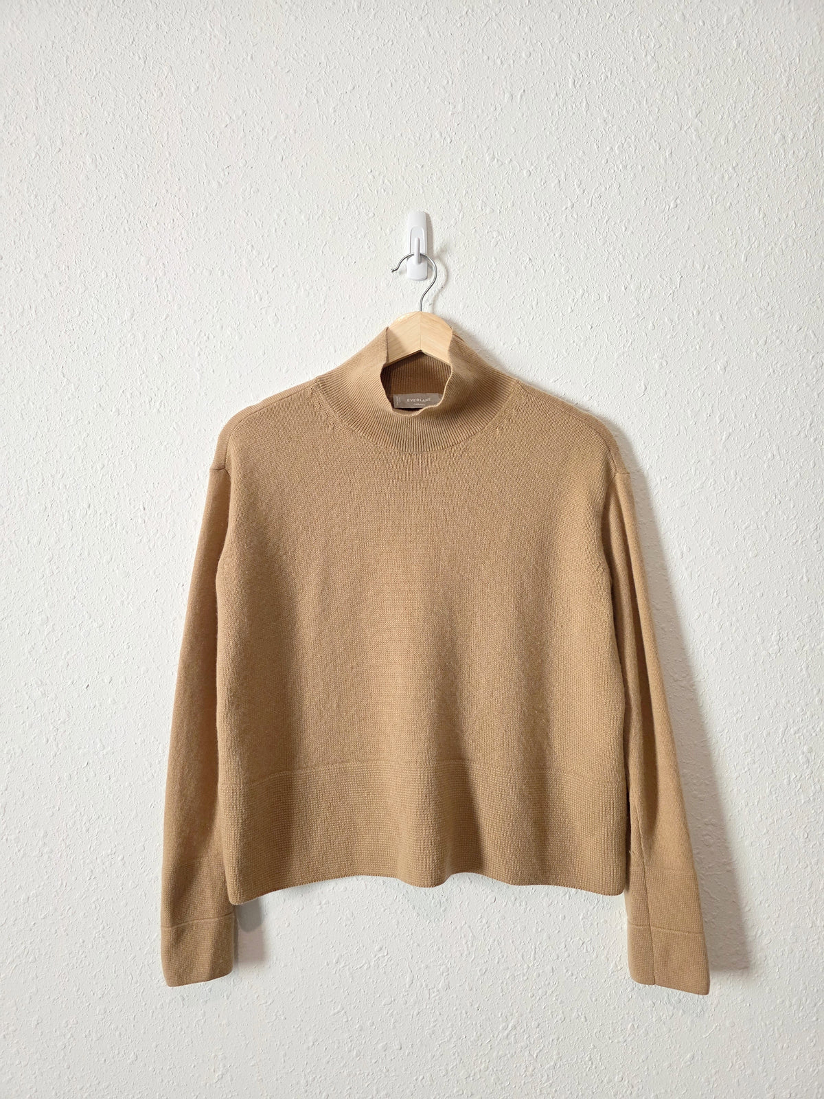 Everlane Cashmere Turtleneck Sweater (XS)