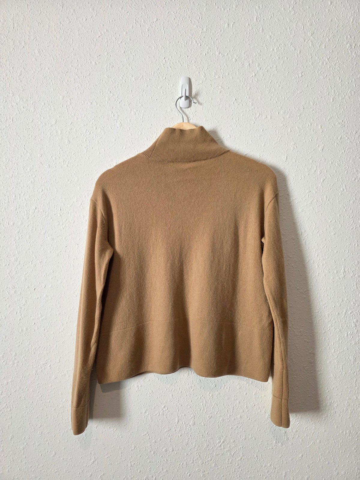 Everlane Cashmere Turtleneck Sweater (XS)