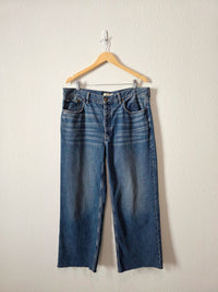Madewell Low Slung Baggy Jeans (31T)