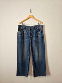 Madewell Low Slung Baggy Jeans (31T)