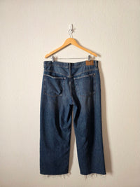 Madewell Low Slung Baggy Jeans (31T)