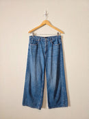 Gap High Rise Wide Leg Jeans (10/30s)