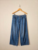 Gap High Rise Wide Leg Jeans (10/30s)