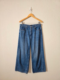 Gap High Rise Wide Leg Jeans (10/30s)